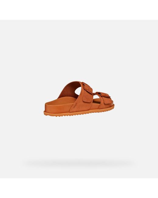 Geox Brown Sandybett