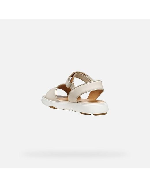 Geox White Nebula 2.0 C S