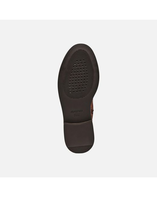 Geox Brown Serilda