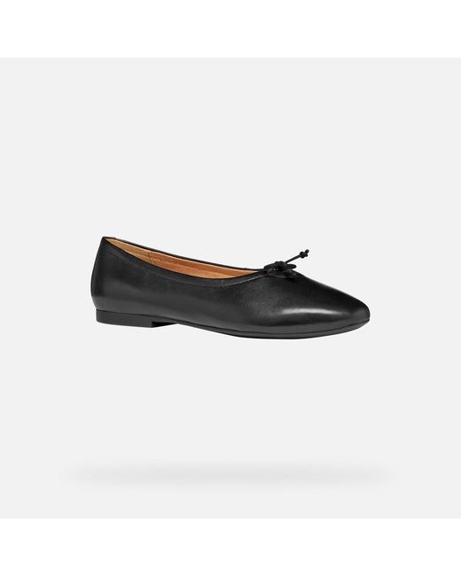 Geox Black New Palmaria