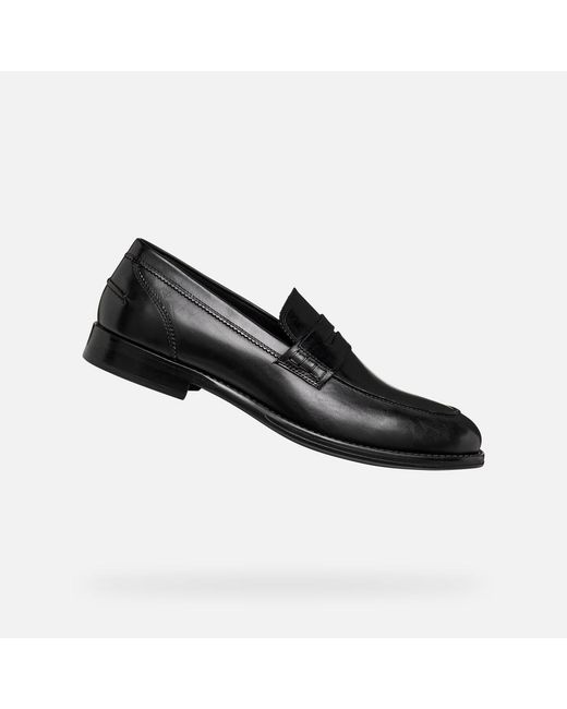 Geox Black Barberigo for men