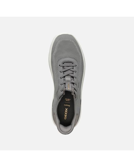 Geox Gray Spherica Plus for men