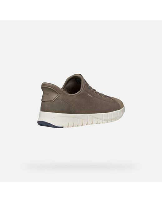 Geox Gray Flextride Plus for men