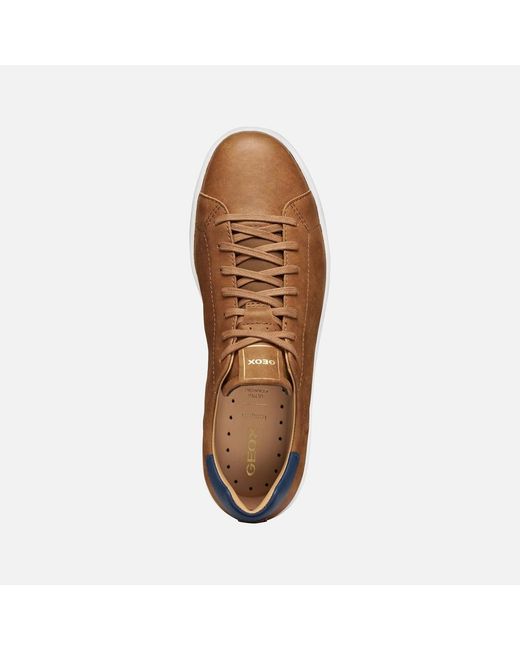 Geox Brown Spherica Ecub-1 B for men