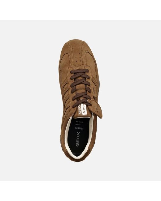 Geox Brown Snake for men