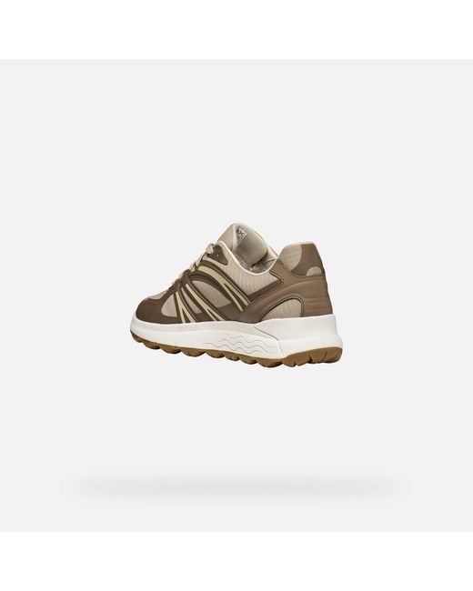 Geox Multicolor Spherica 4X4 Abx /Taupe