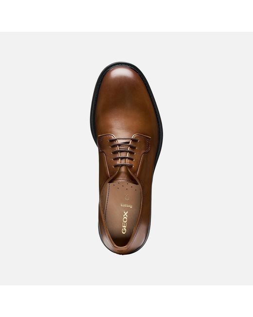 Geox Brown Capitale for men