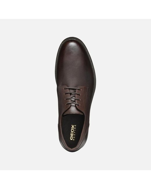 Geox Brown Terence for men