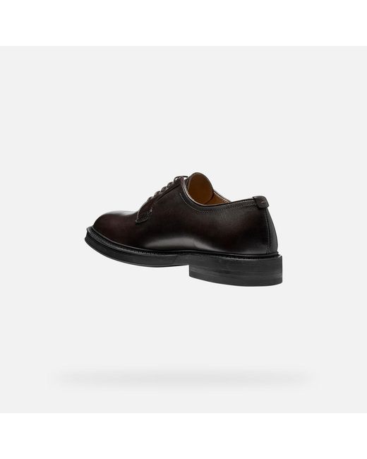 Geox Black Capitale for men
