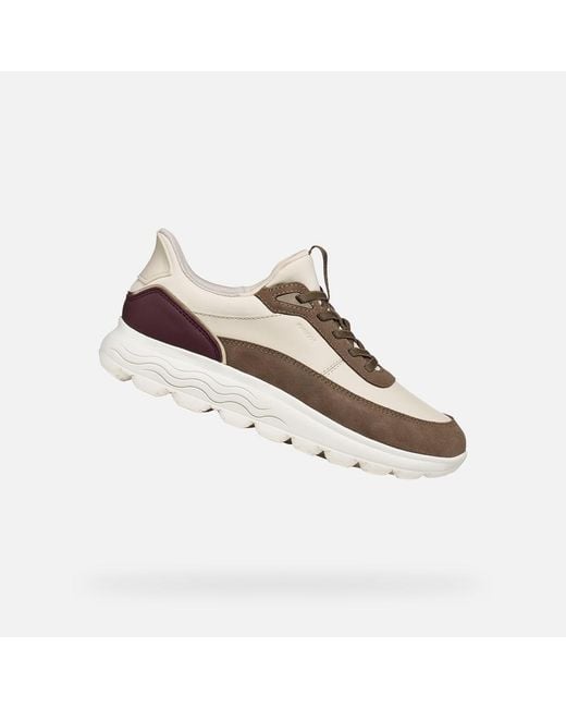 Geox Multicolor Spherica Plus Papyrus/Taupe