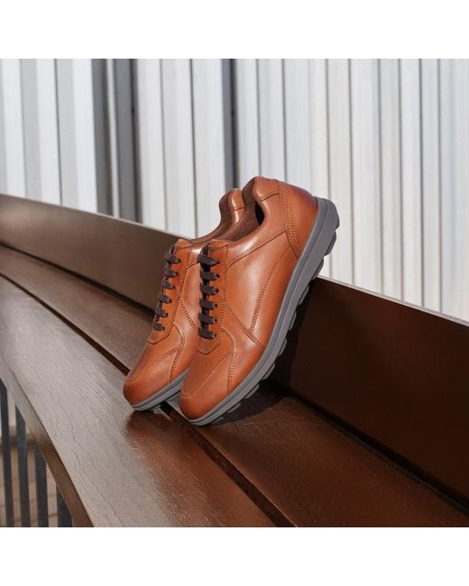 Geox Brown Spherica Ec12 for men
