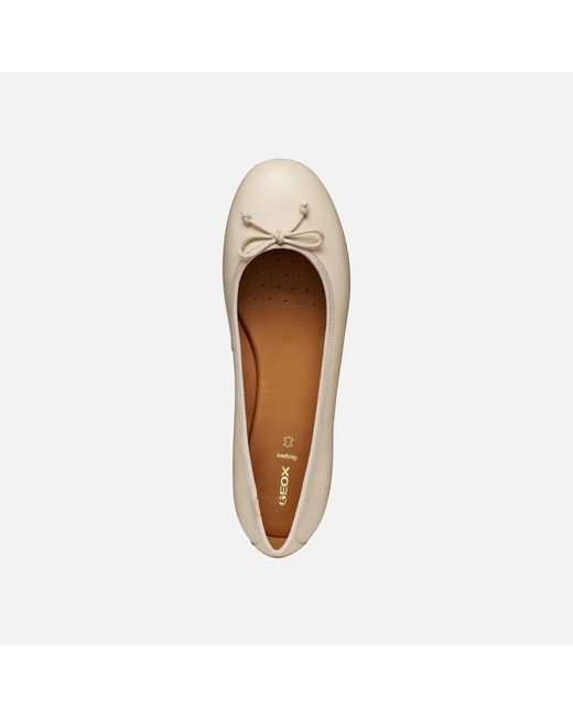 Geox White New Palmaria