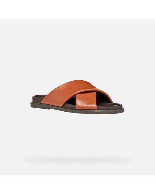 Geox Brown Adelash