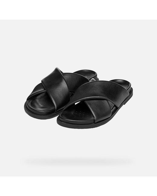 Geox Black Adelash