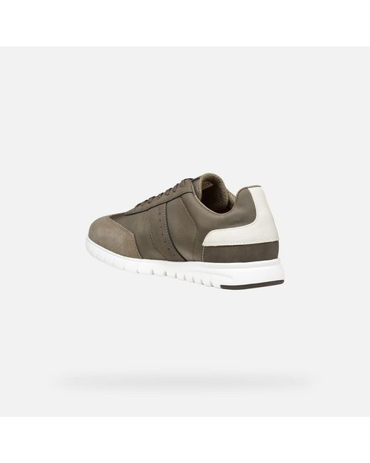 Geox Gray Flextride Zero for men