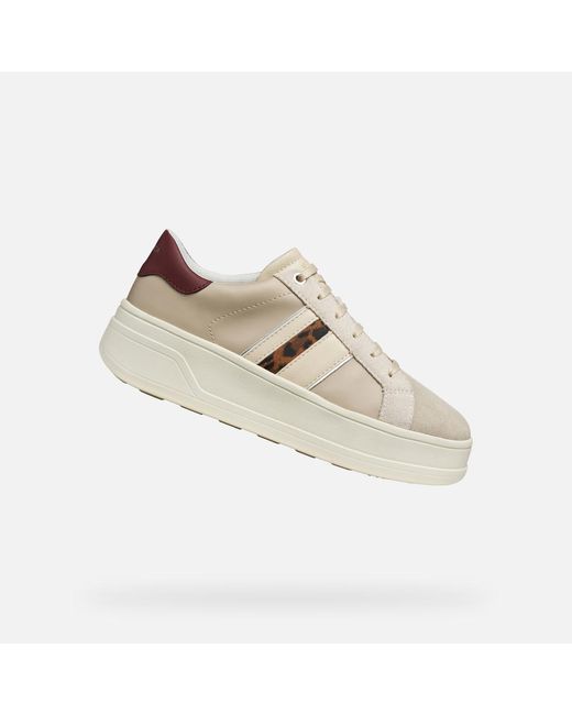 Scarpe Spherica Ecub-2 Donna di Geox in Natural