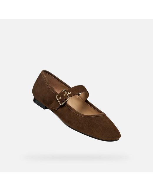 Geox Brown Azlea