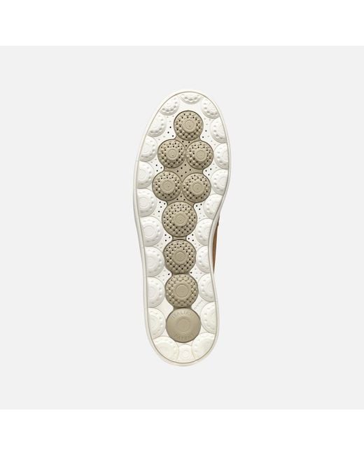 Geox Brown Spherica Ecub-1 for men