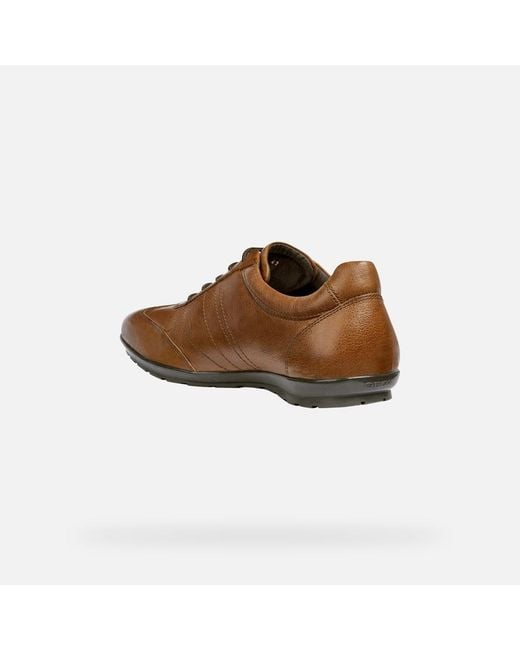 Geox Brown Symbol for men