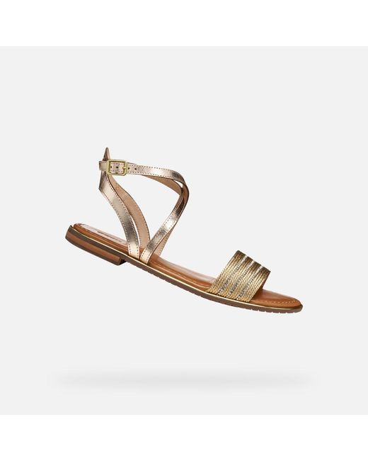 Geox Metallic Sozy Plus