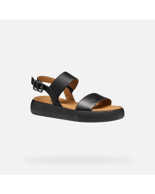 Geox Black Camalei