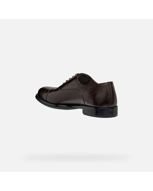 Geox Brown Barberigo for men