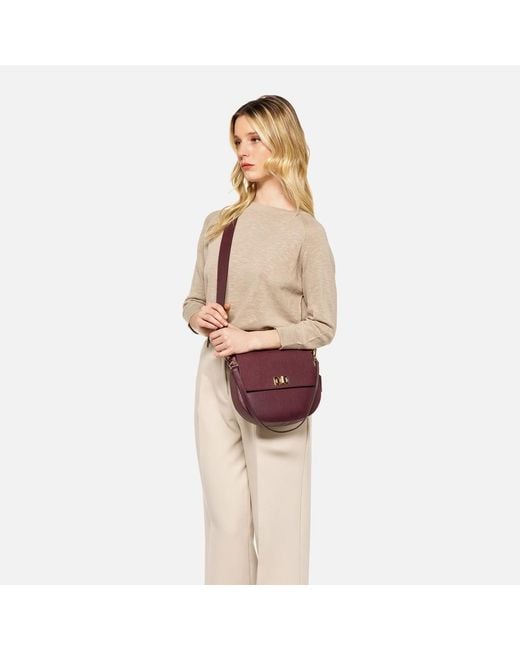 Geox Purple Flavie