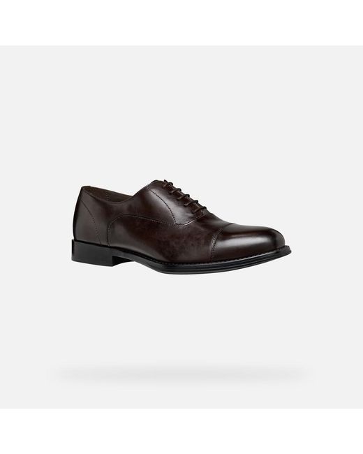 Geox Brown Barberigo for men