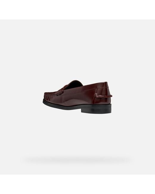 Geox Brown Noemen