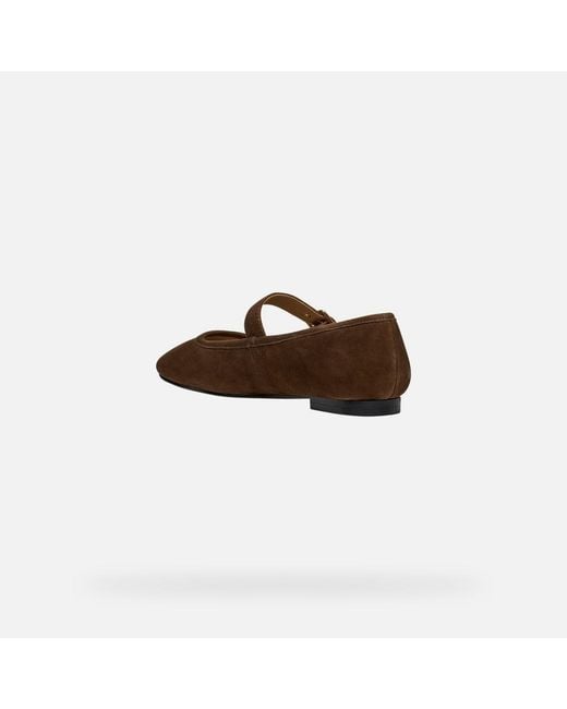 Geox Brown Azlea