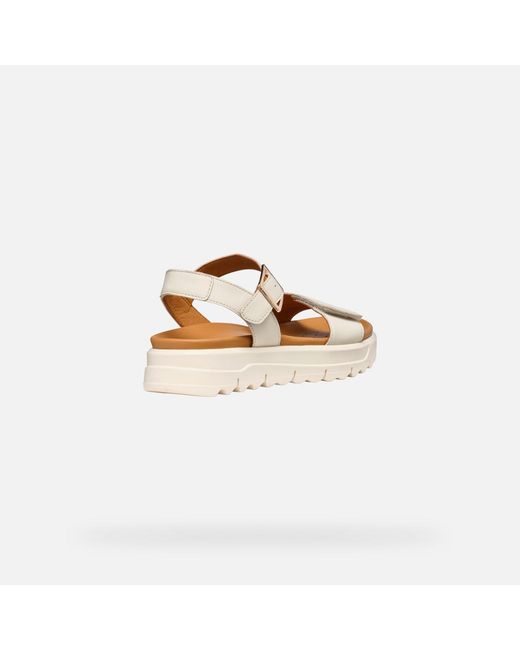 Geox Metallic Xand 2.1S