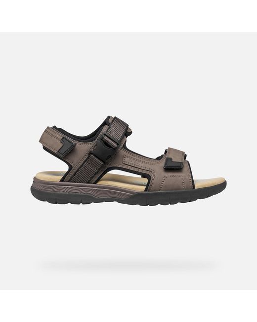 Geox Brown Spherica Ec5 for men