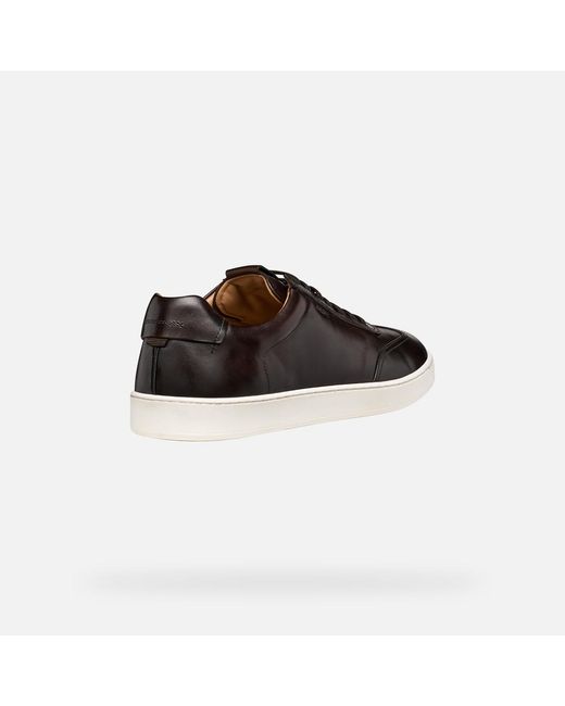 Geox Black Regio for men