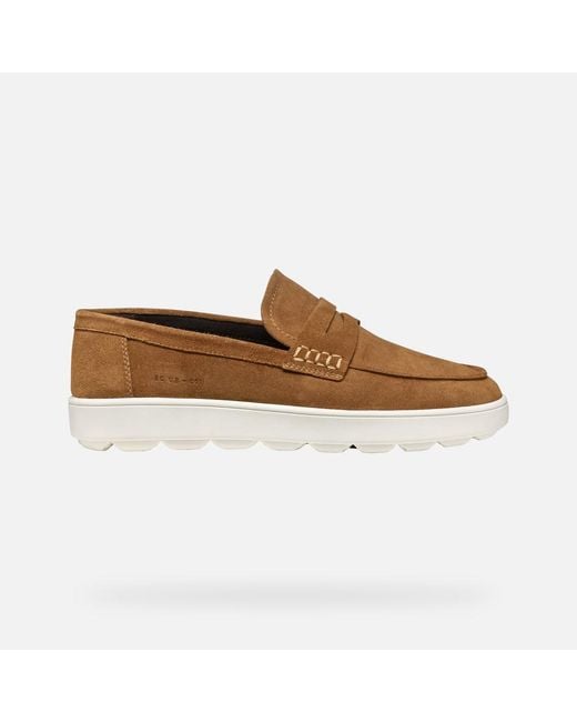 Geox Brown Spherica Ecub-1 for men