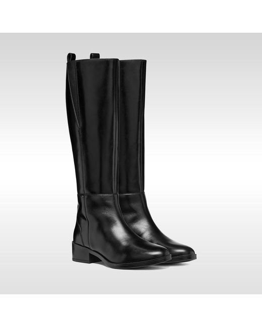 Geox Black Camexia Dame
