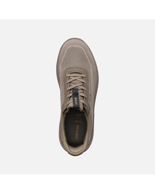 Geox Gray Spherica Plus for men