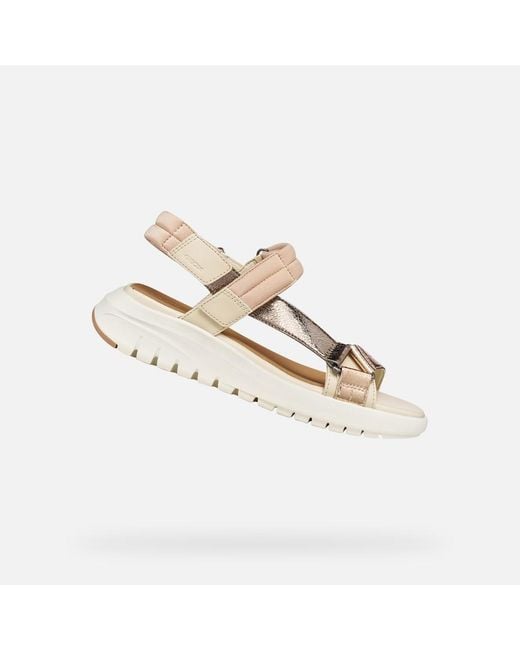 Geox Metallic Flextride S