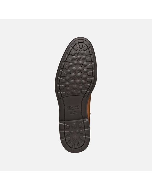 Geox Brown Walk Pleasure B for men