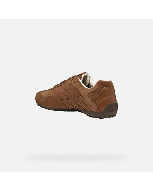 Geox Brown Snake for men