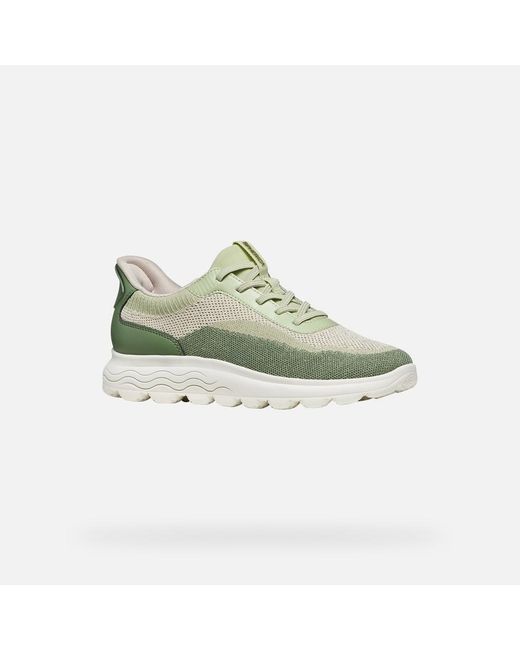 Geox Green Spherica Plus