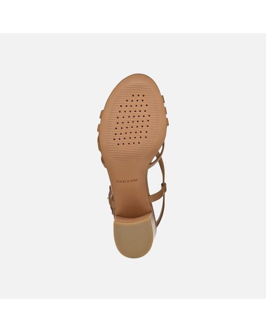Geox Brown Virnilisa 65 S