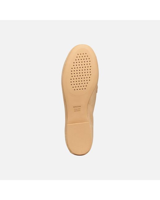 Geox White New Palmaria