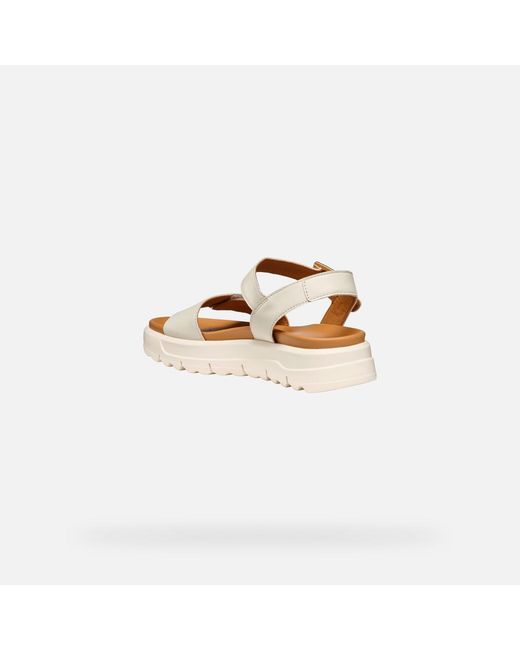 Geox Metallic Xand 2.1S