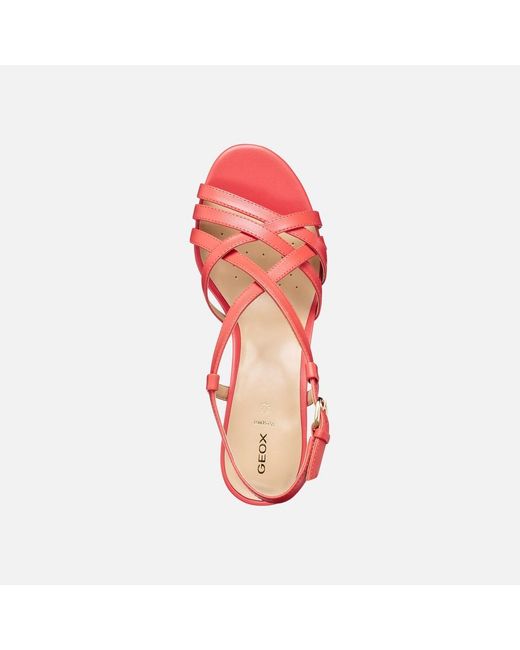 Geox Red Virnilisa 65 S