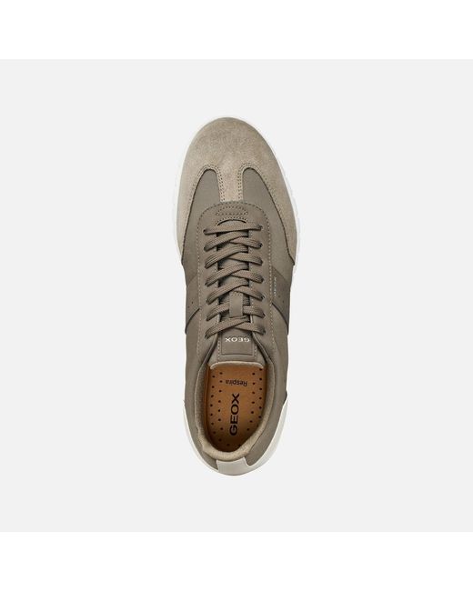 Geox Gray Flextride Zero for men