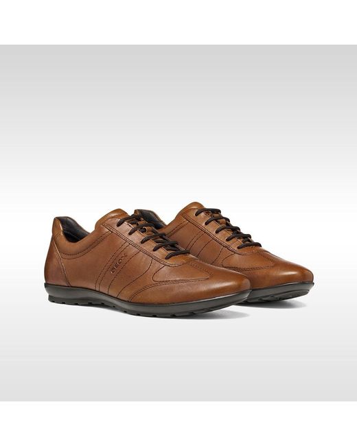 Geox Brown Symbol for men
