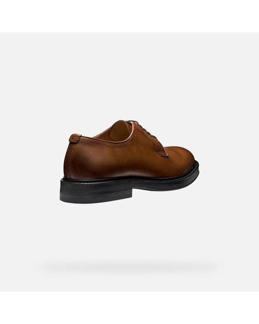 Geox Brown Capitale for men