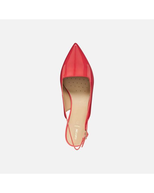 Geox Red Kleopy