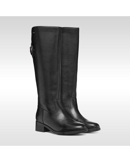 Geox Black Camexia Abx