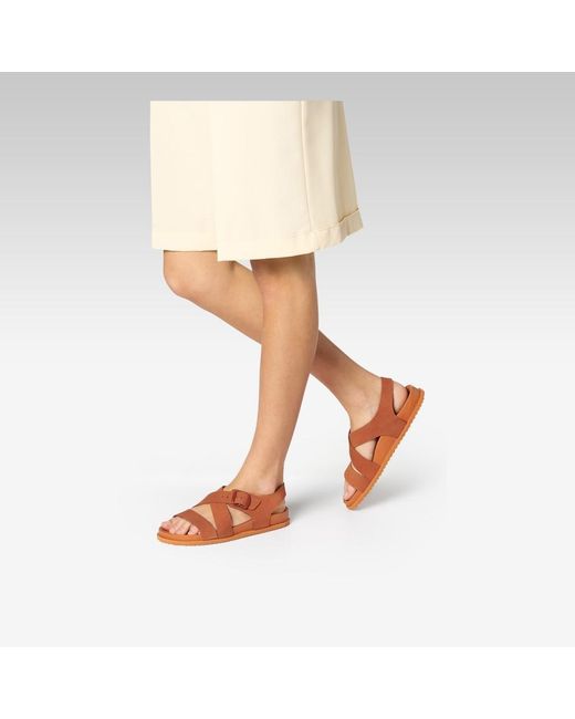 Geox Brown Sandybett